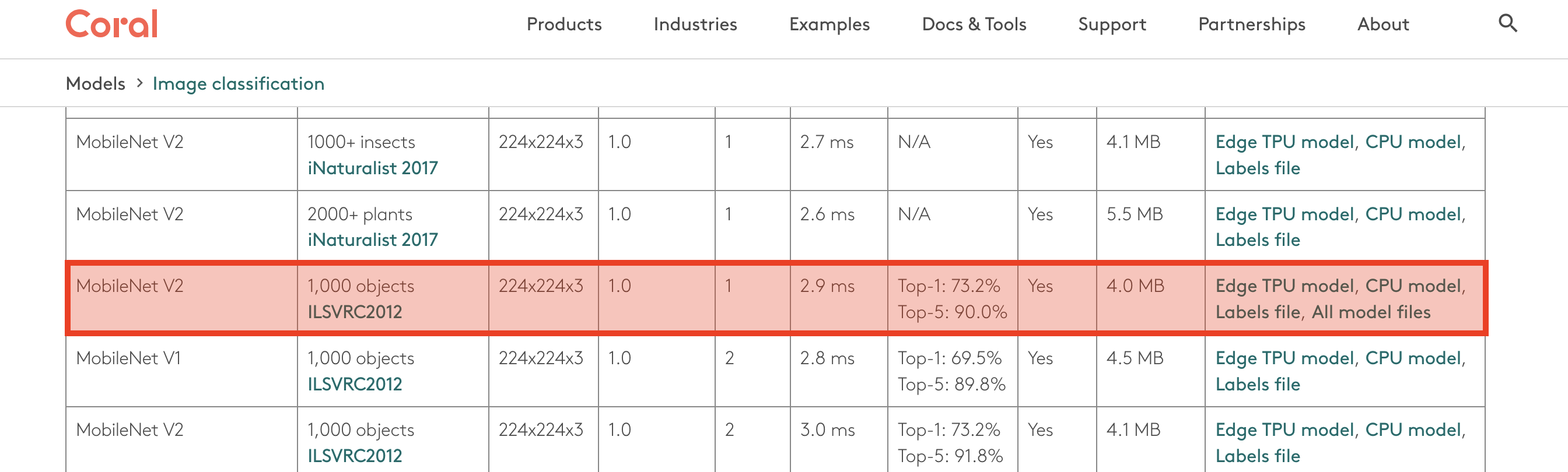 Picture of the image classification model