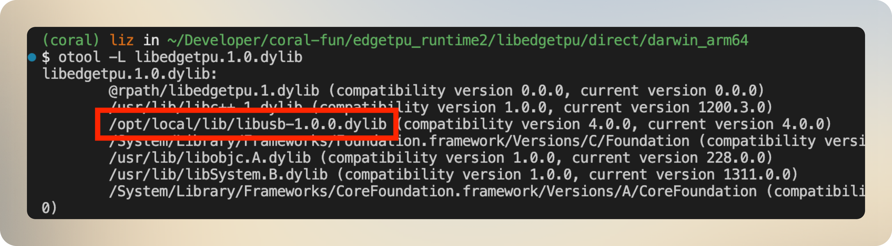Using otool to inspect the dynamic library