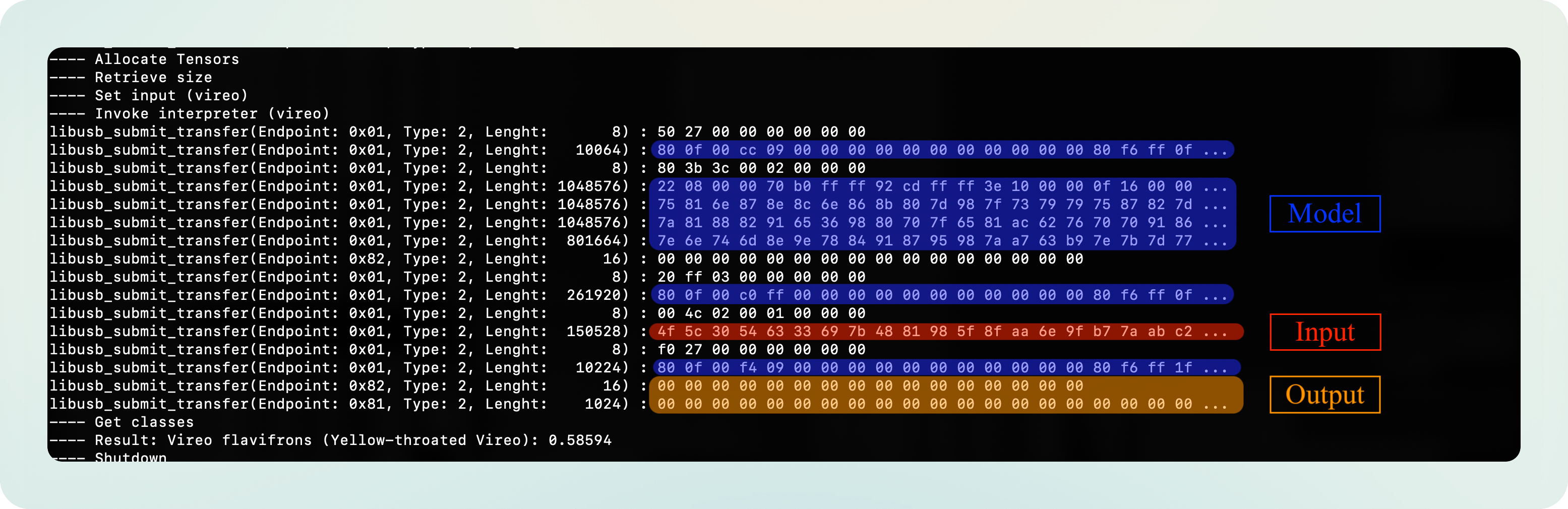Sketch of information transmitted