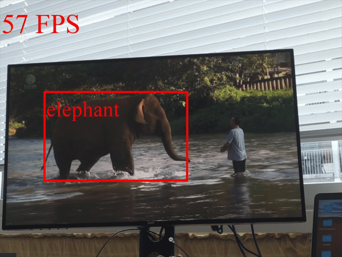 (Object detection on elephants)