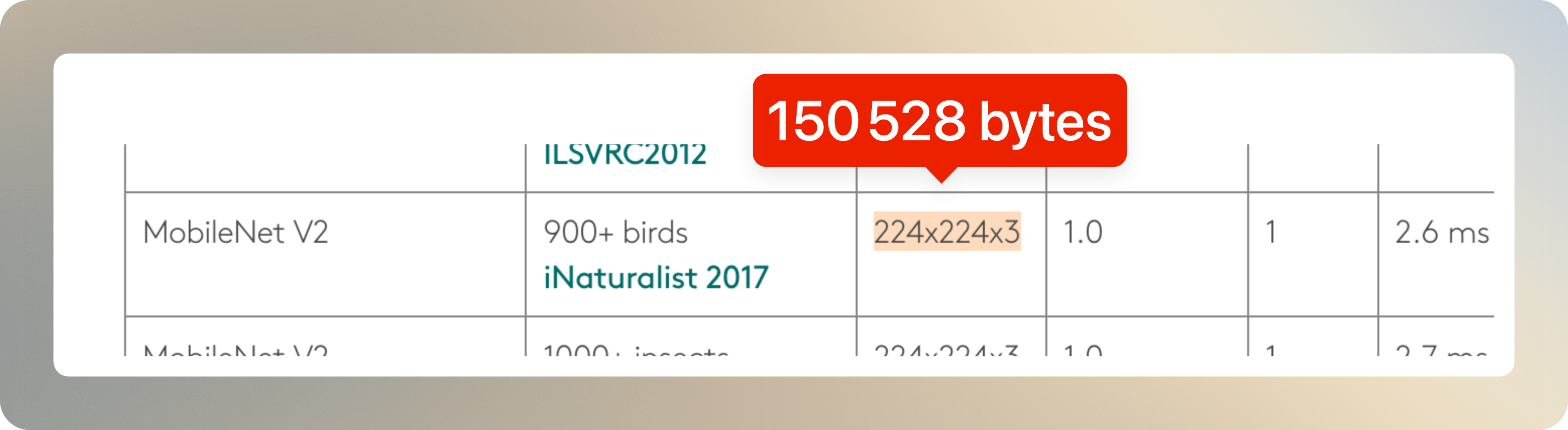 Expected input size to the model